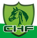 China Horse Fair Shanghai